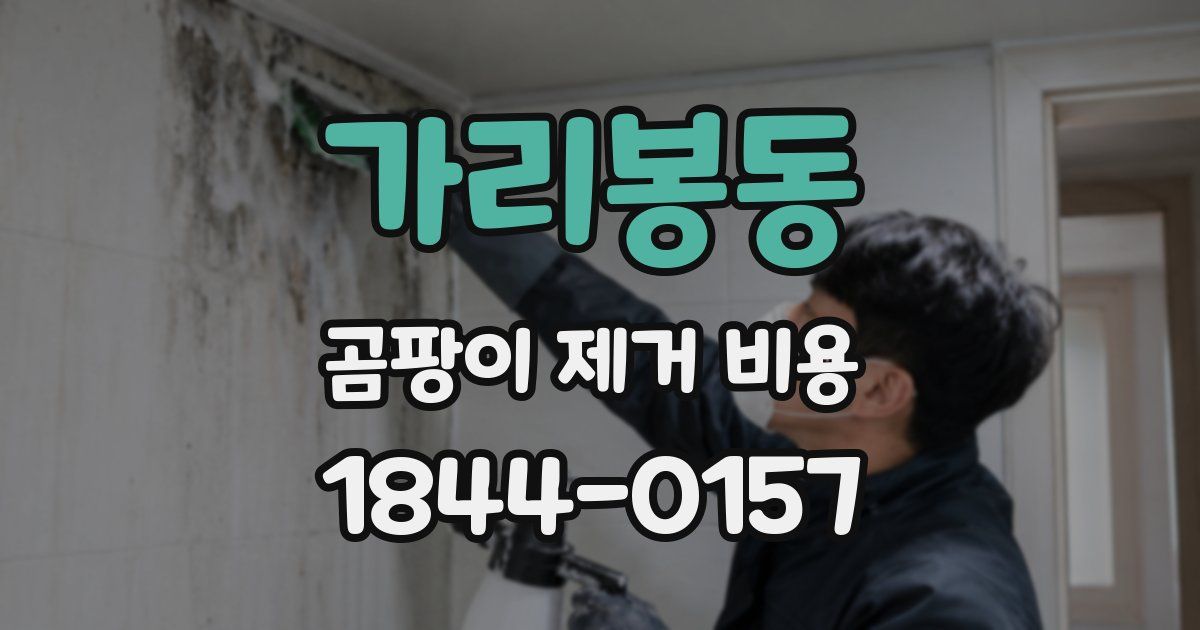 가리봉동 곰팡이 제거 비용