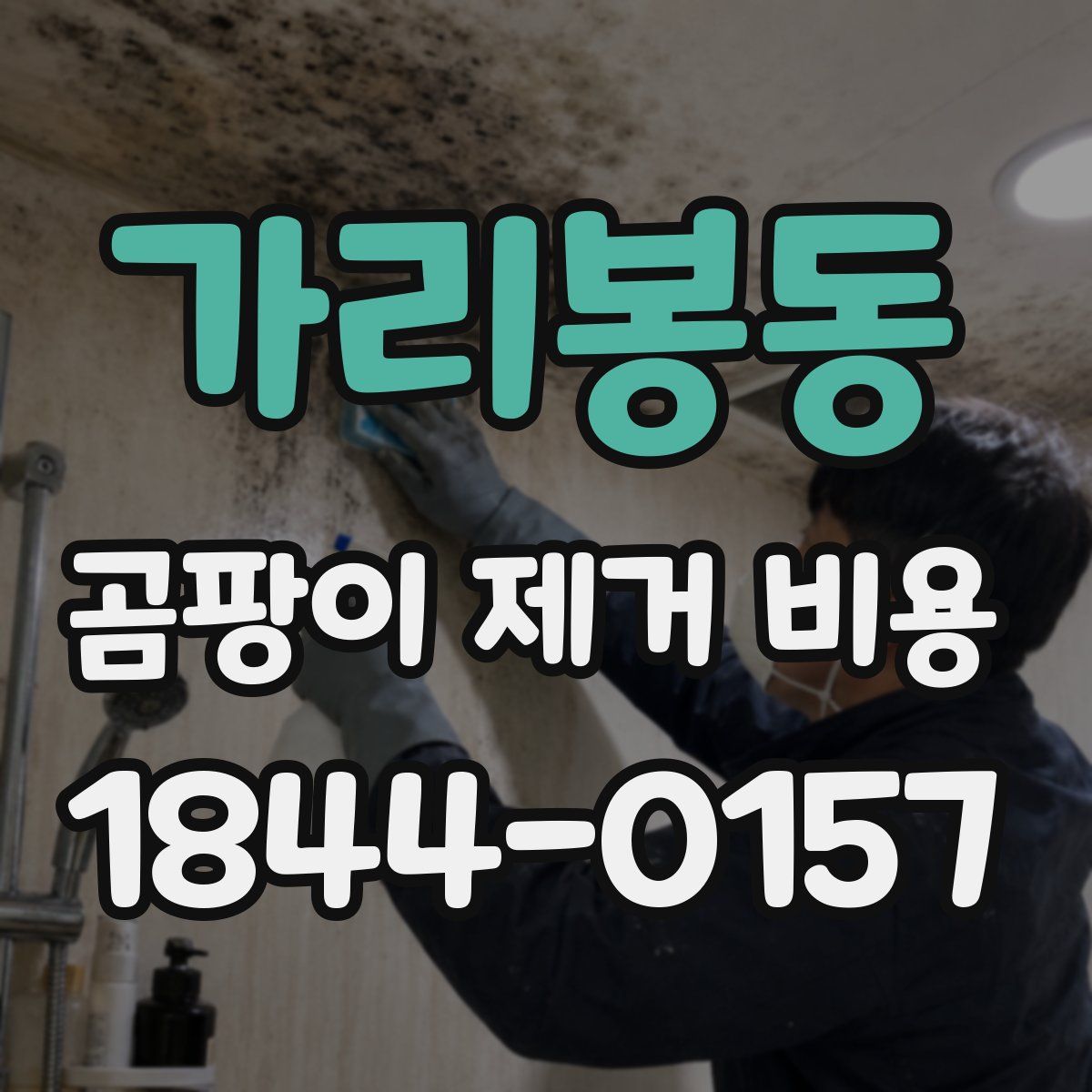가리봉동 곰팡이 제거 비용