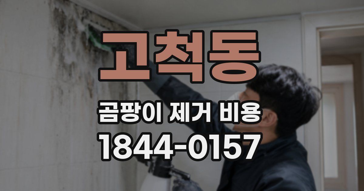 고척동 곰팡이 제거 비용