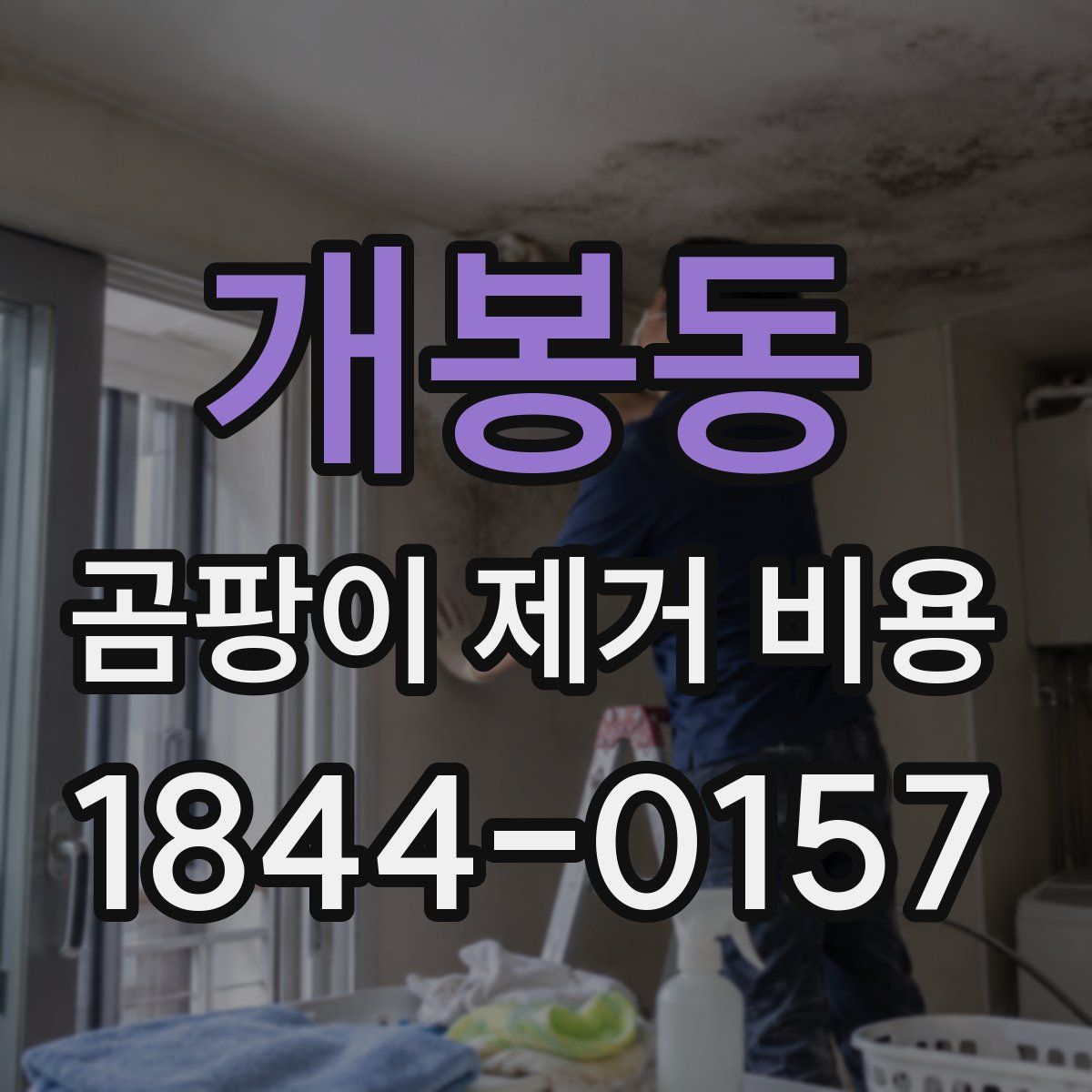 개봉동 곰팡이 제거 비용