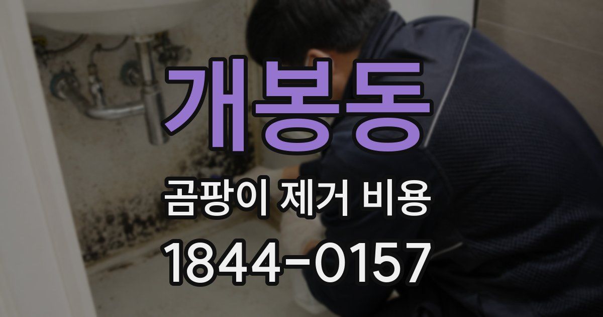 개봉동 곰팡이 제거 비용