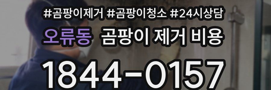 오류동 곰팡이 제거 비용