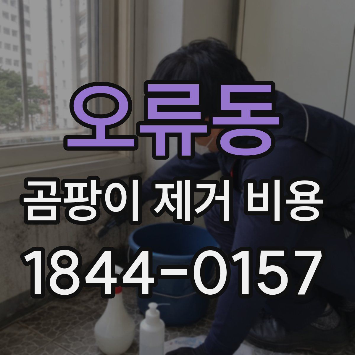 오류동 곰팡이 제거 비용