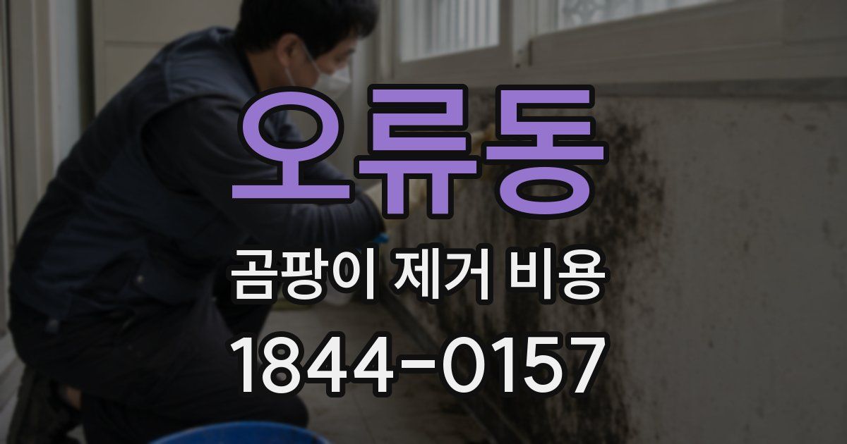 오류동 곰팡이 제거 비용