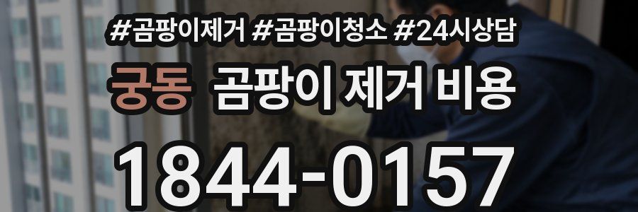 궁동 곰팡이 제거 비용