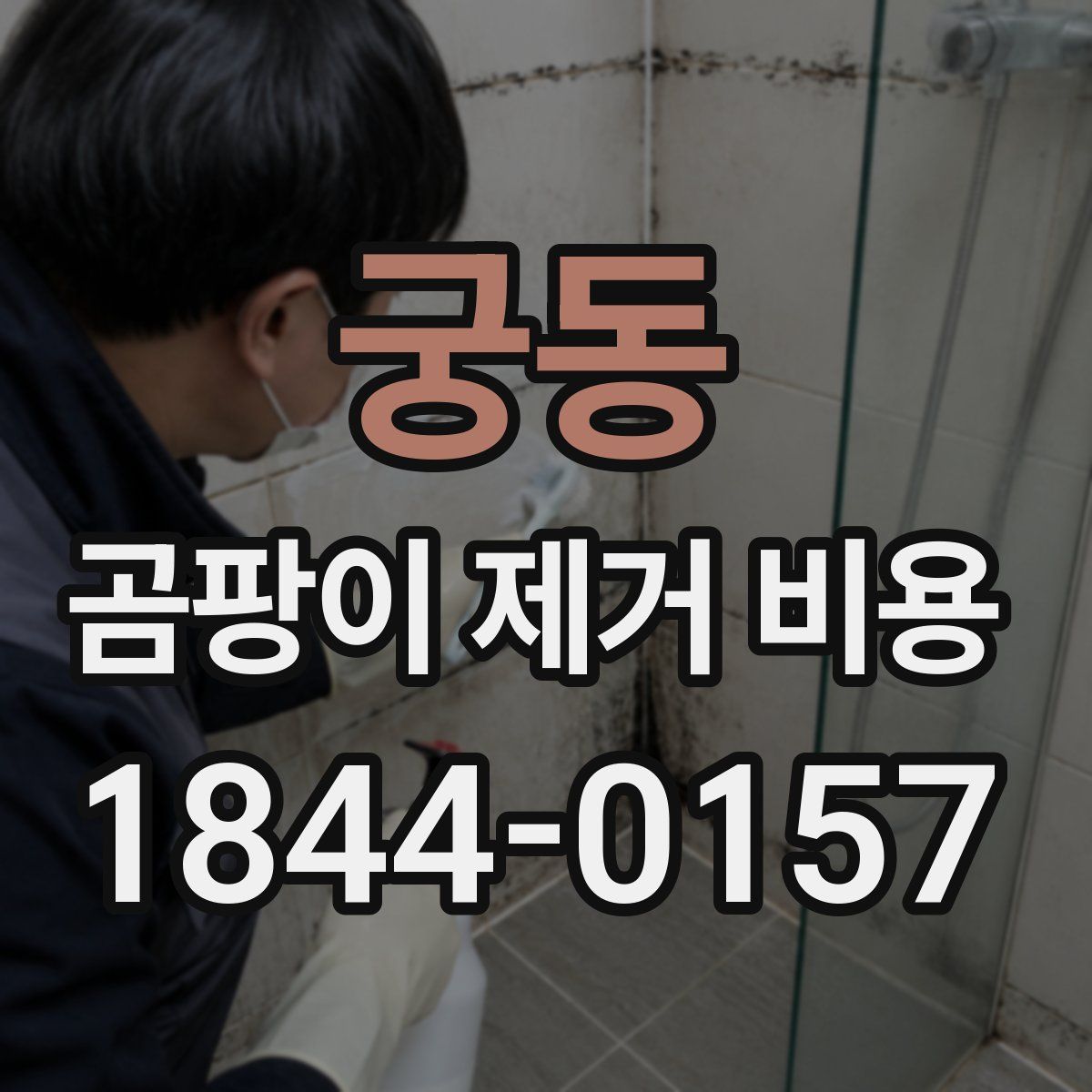 궁동 곰팡이 제거 비용