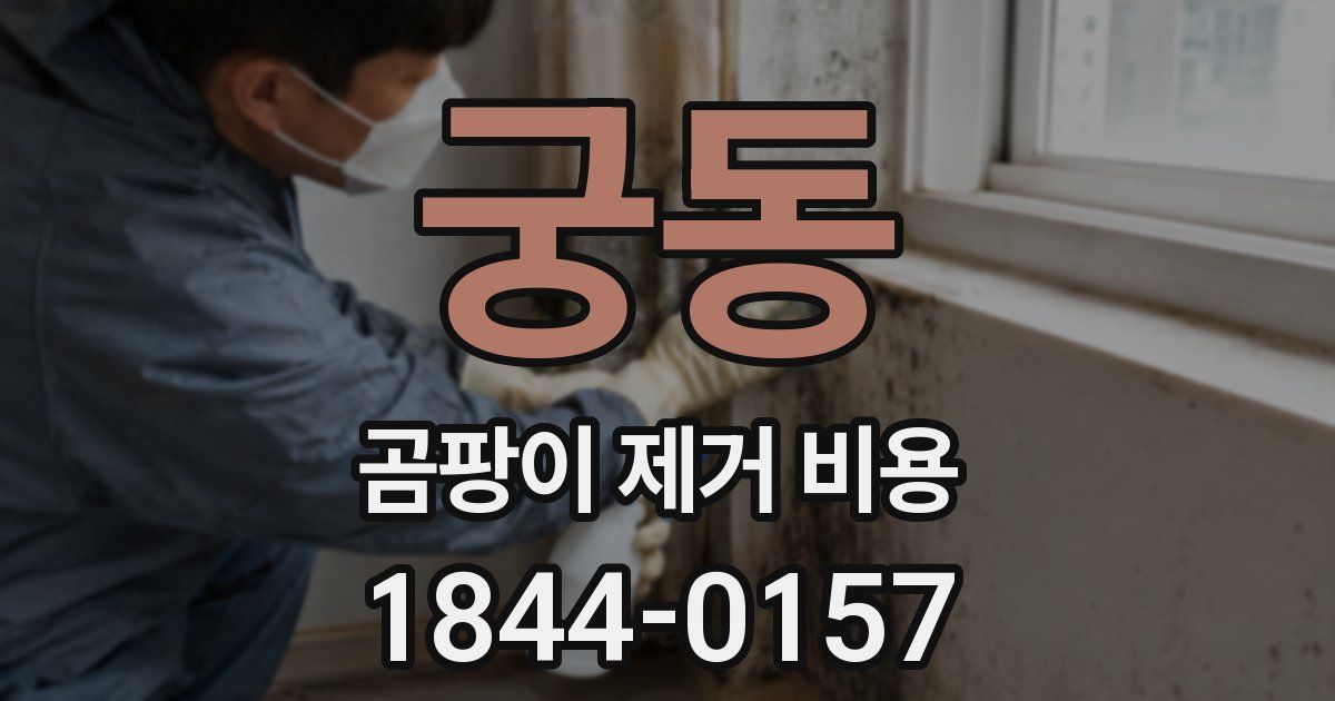 궁동 곰팡이 제거 비용