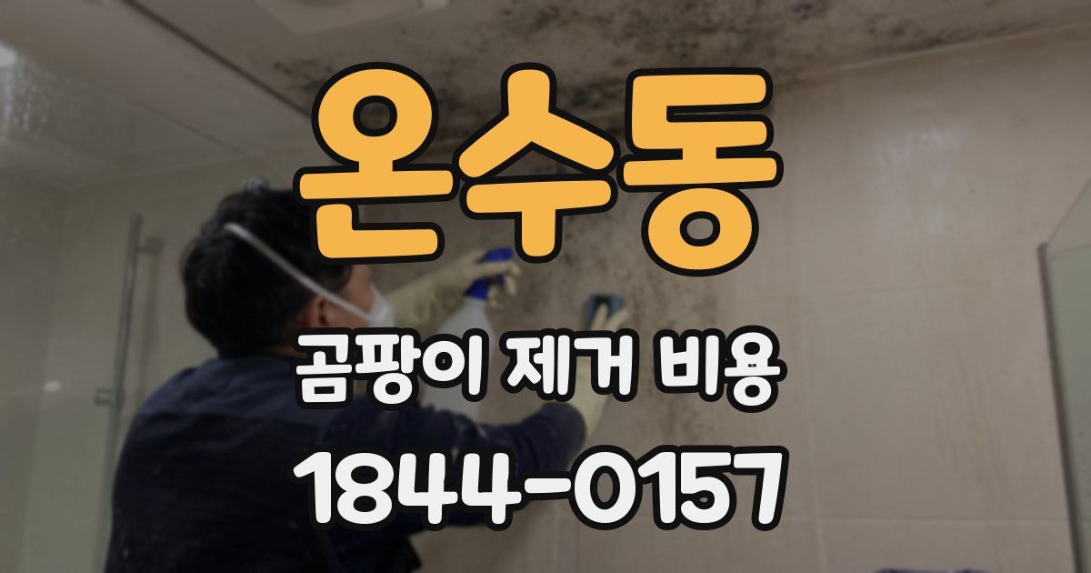 온수동 곰팡이 제거 비용