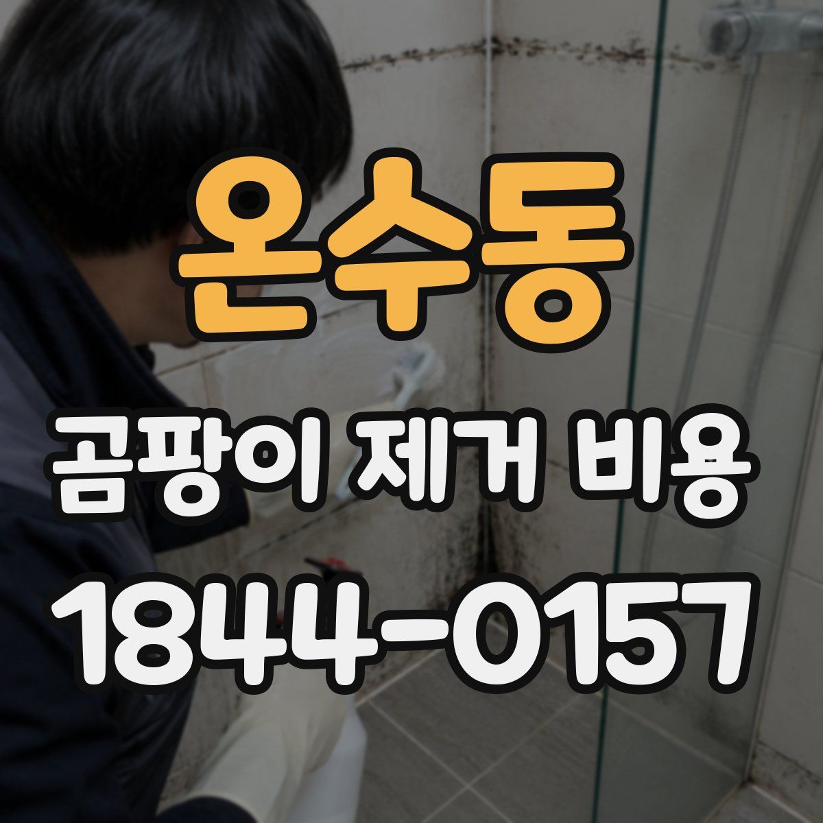 온수동 곰팡이 제거 비용