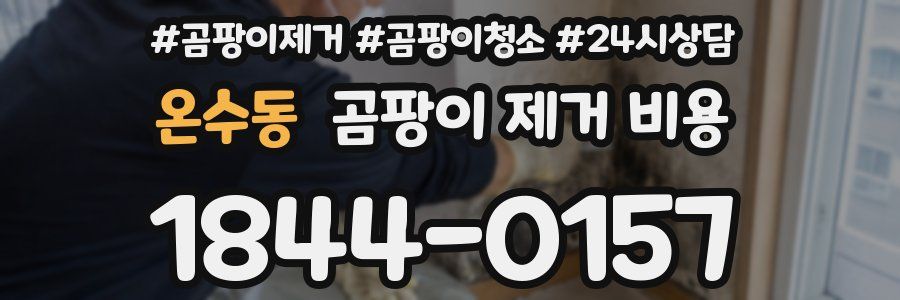 온수동 곰팡이 제거 비용