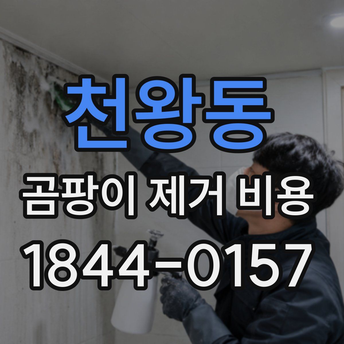천왕동 곰팡이 제거 비용