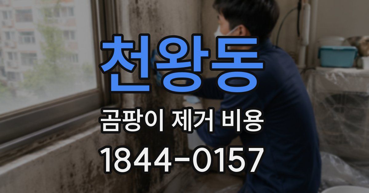 천왕동 곰팡이 제거 비용