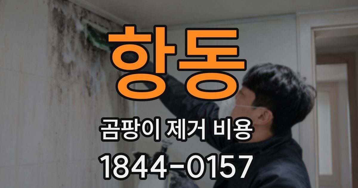 항동 곰팡이 제거 비용