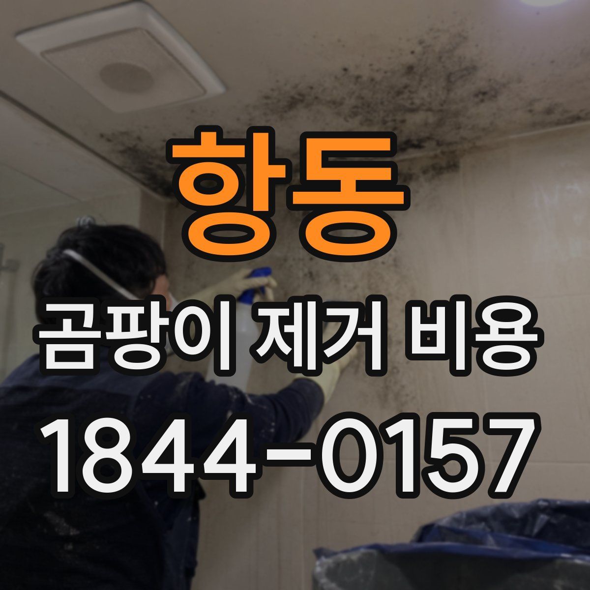 항동 곰팡이 제거 비용