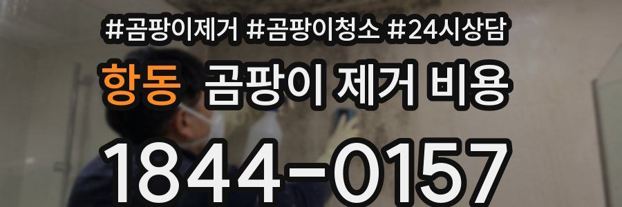 항동 곰팡이 제거 비용