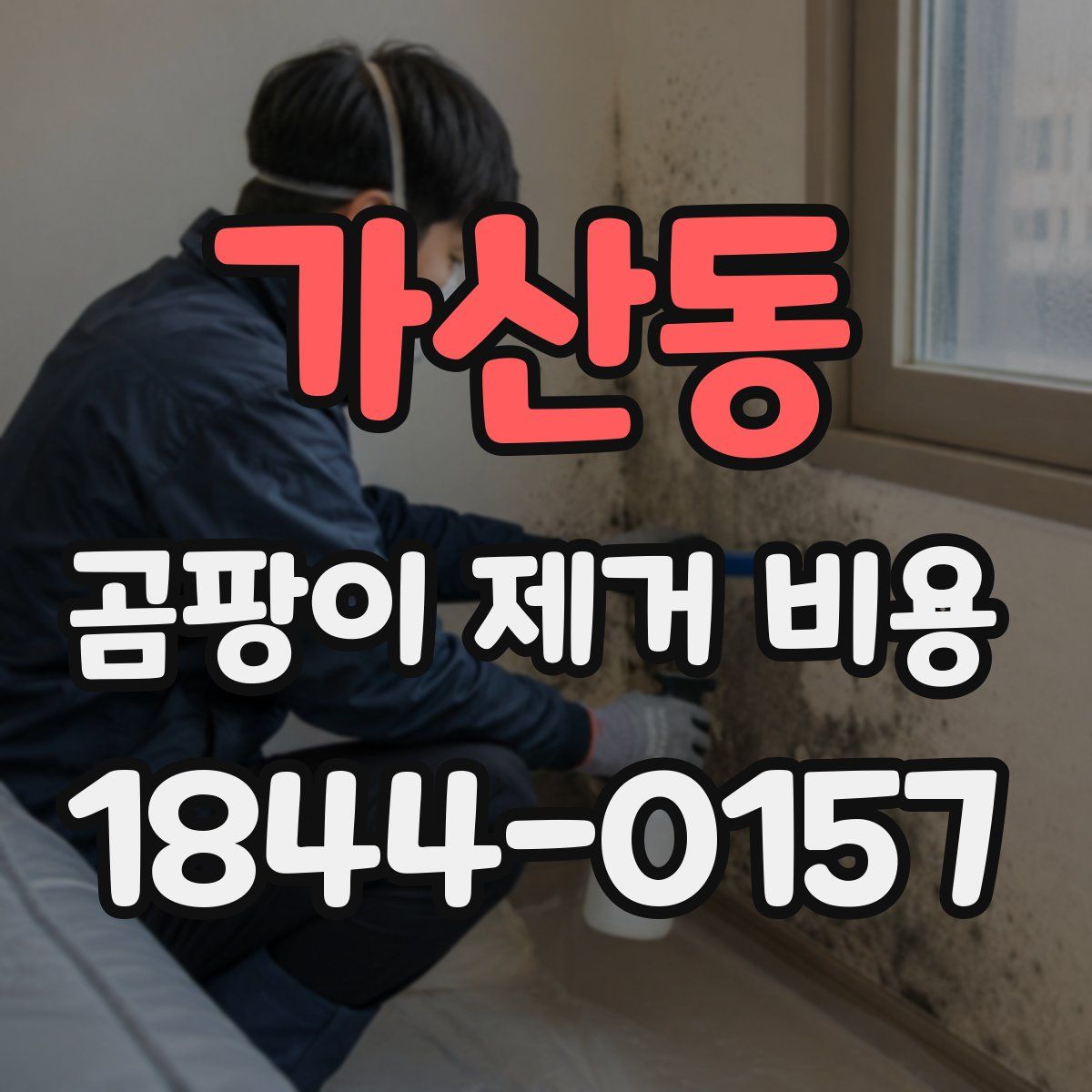 가산동 곰팡이 제거 비용