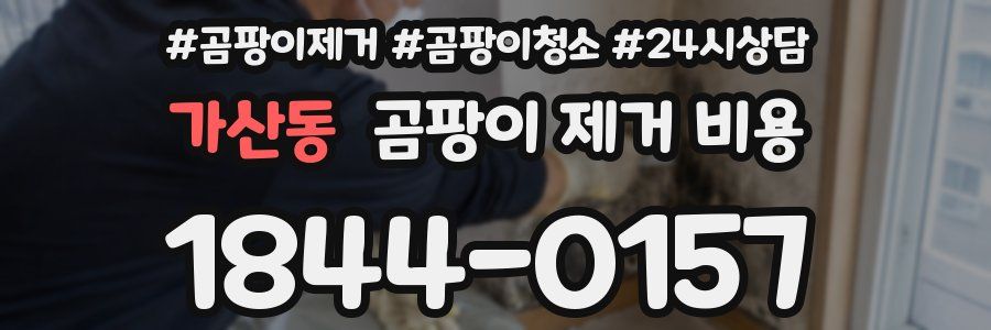 가산동 곰팡이 제거 비용