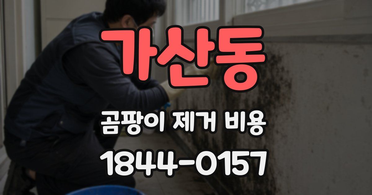 가산동 곰팡이 제거 비용