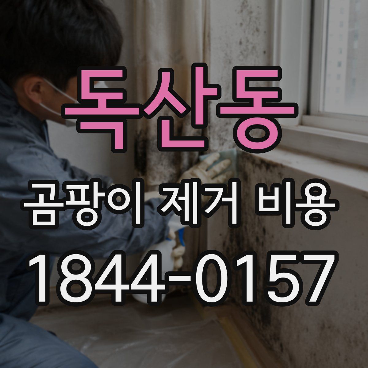 독산동 곰팡이 제거 비용