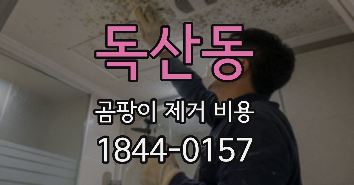 독산동 곰팡이 제거 비용