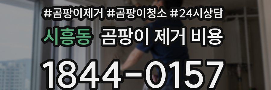 시흥동 곰팡이 제거 비용