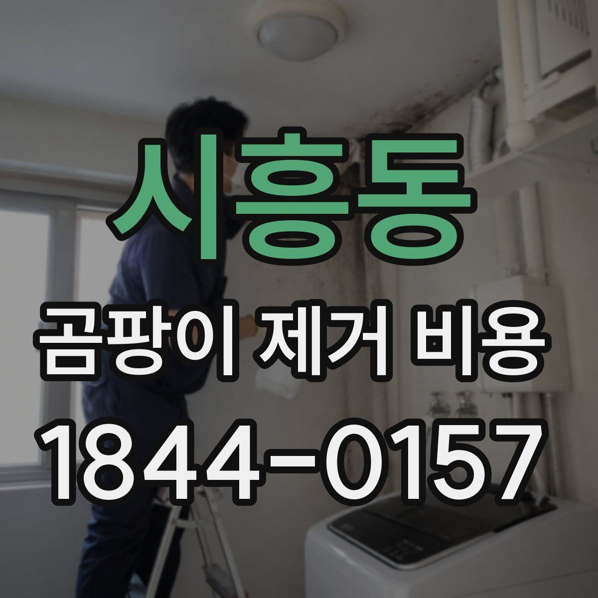시흥동 곰팡이 제거 비용