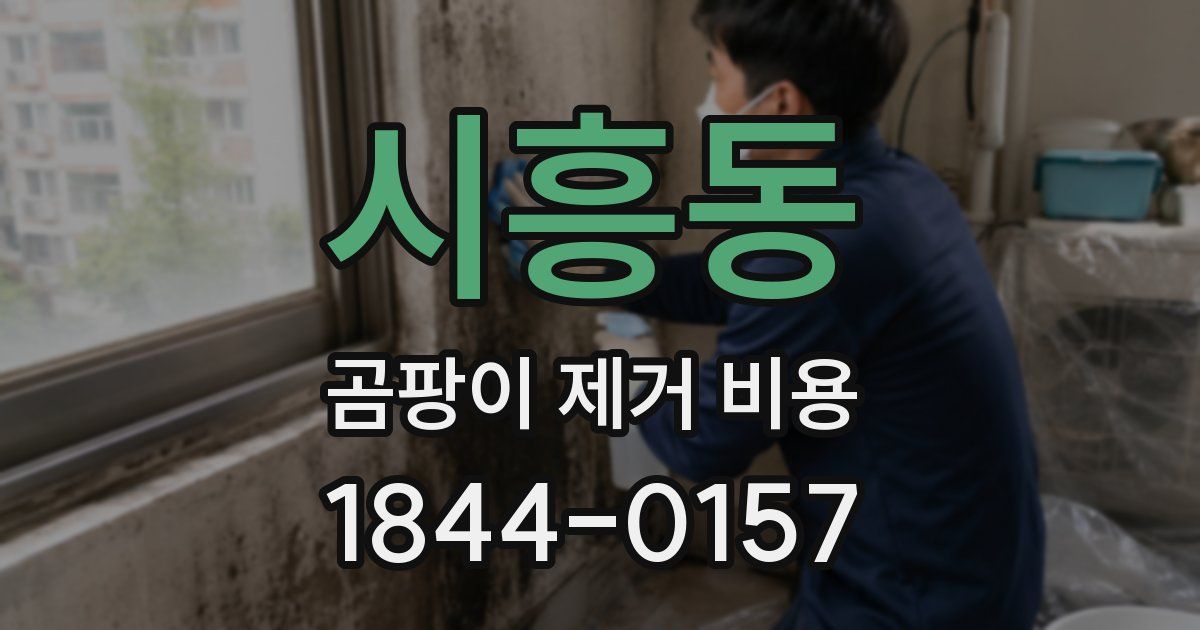 시흥동 곰팡이 제거 비용