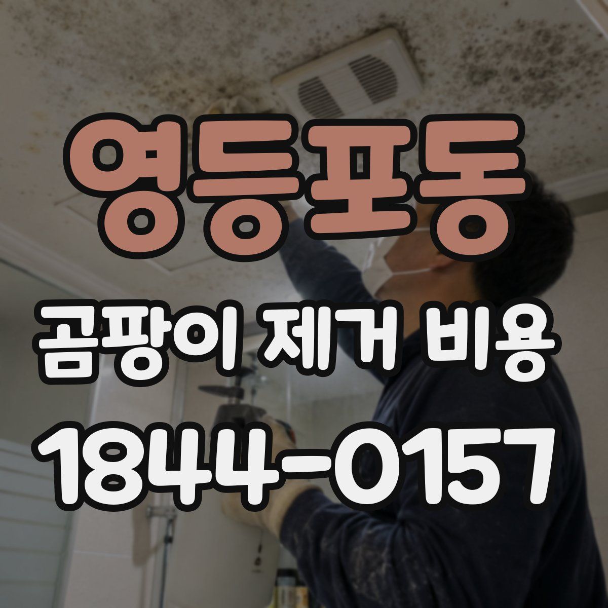 영등포동 곰팡이 제거 비용