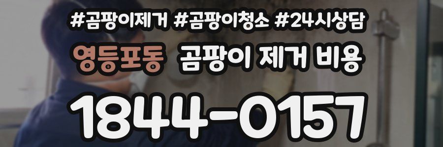 영등포동 곰팡이 제거 비용