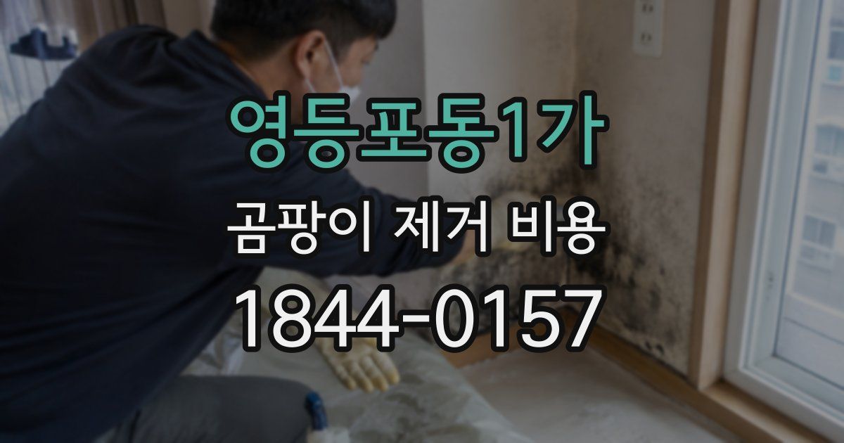 영등포동1가 곰팡이 제거 비용