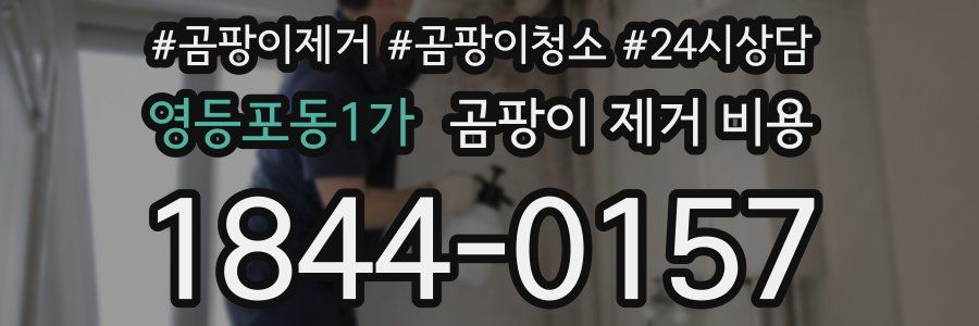 영등포동1가 곰팡이 제거 비용