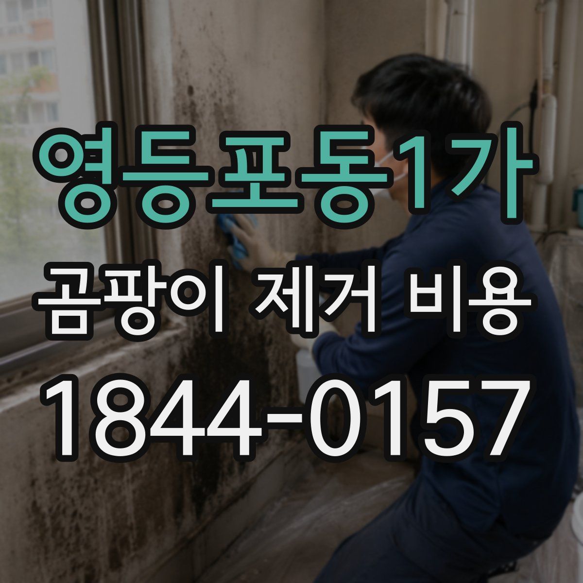 영등포동1가 곰팡이 제거 비용