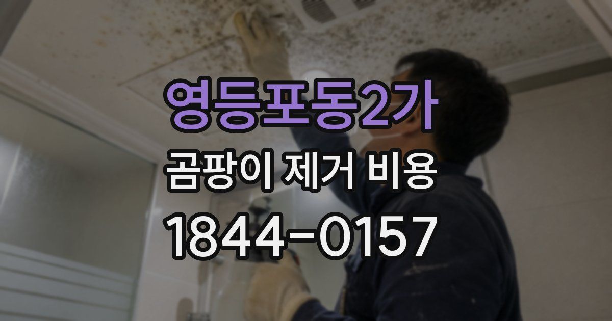 영등포동2가 곰팡이 제거 비용