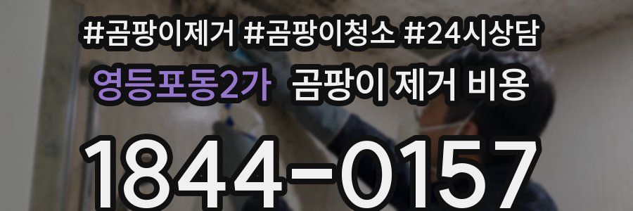 영등포동2가 곰팡이 제거 비용