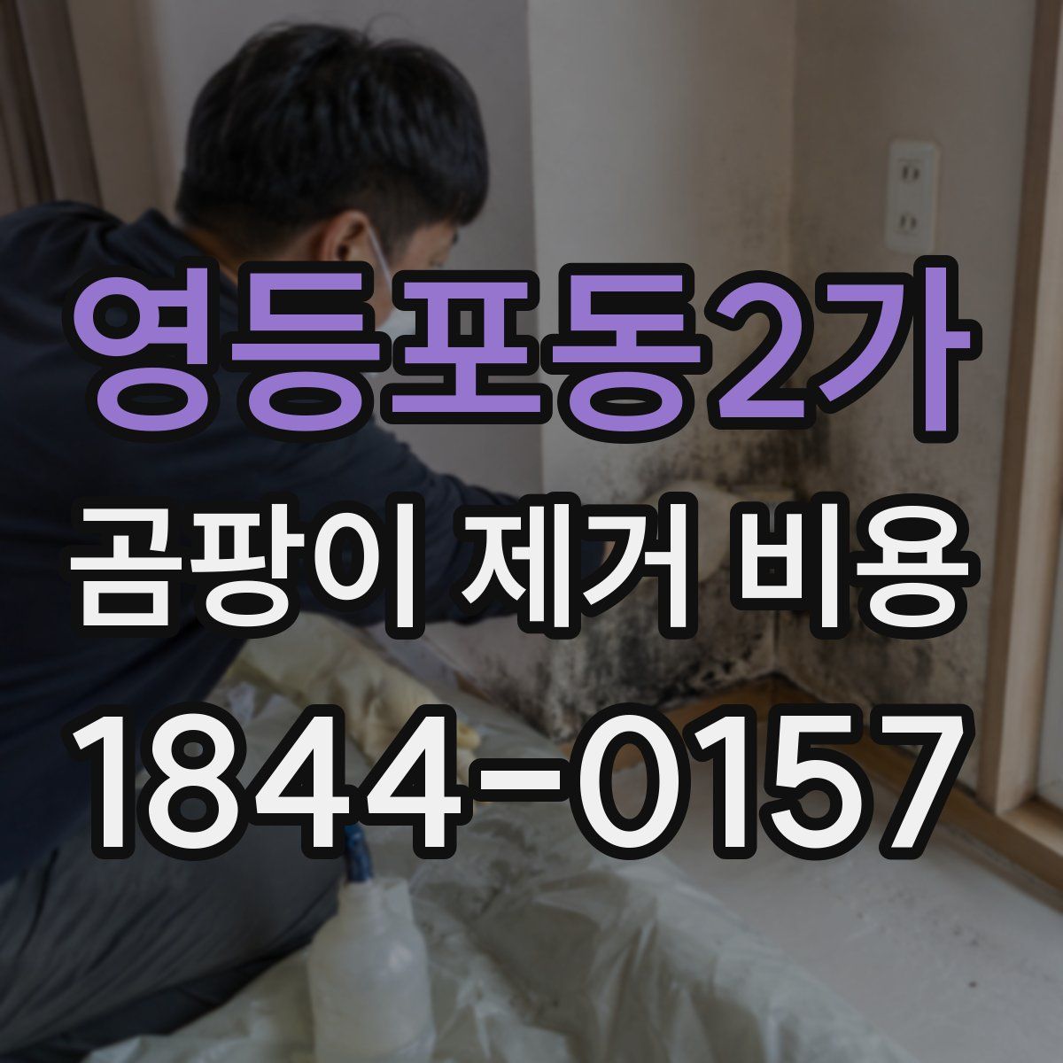 영등포동2가 곰팡이 제거 비용