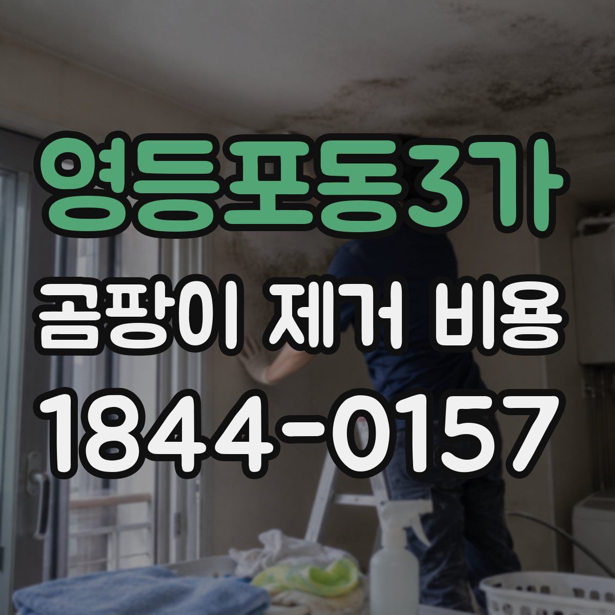 영등포동3가 곰팡이 제거 비용