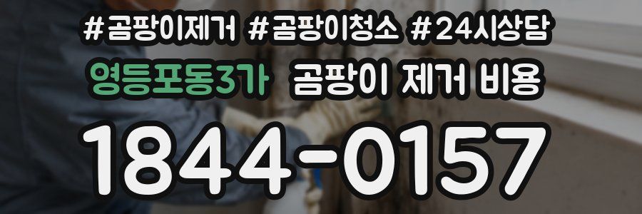 영등포동3가 곰팡이 제거 비용