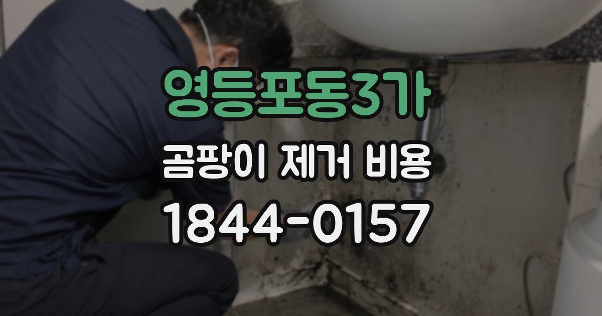 영등포동3가 곰팡이 제거 비용