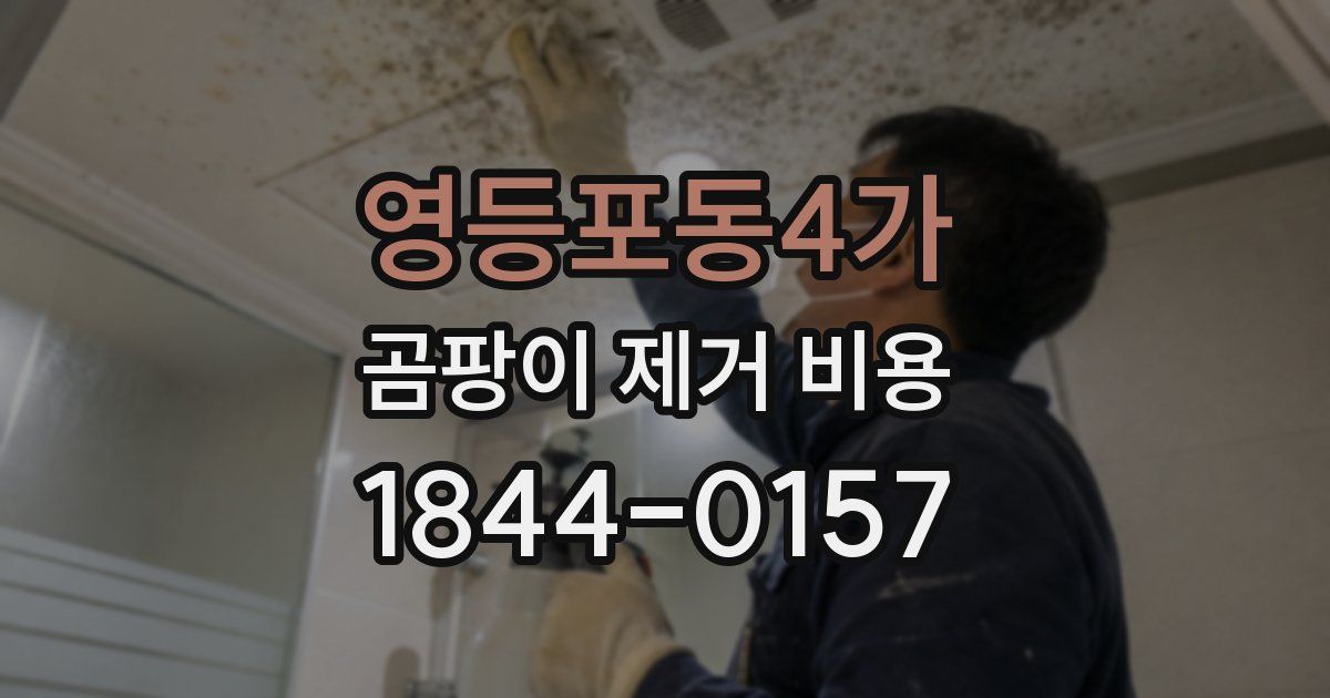 영등포동4가 곰팡이 제거 비용