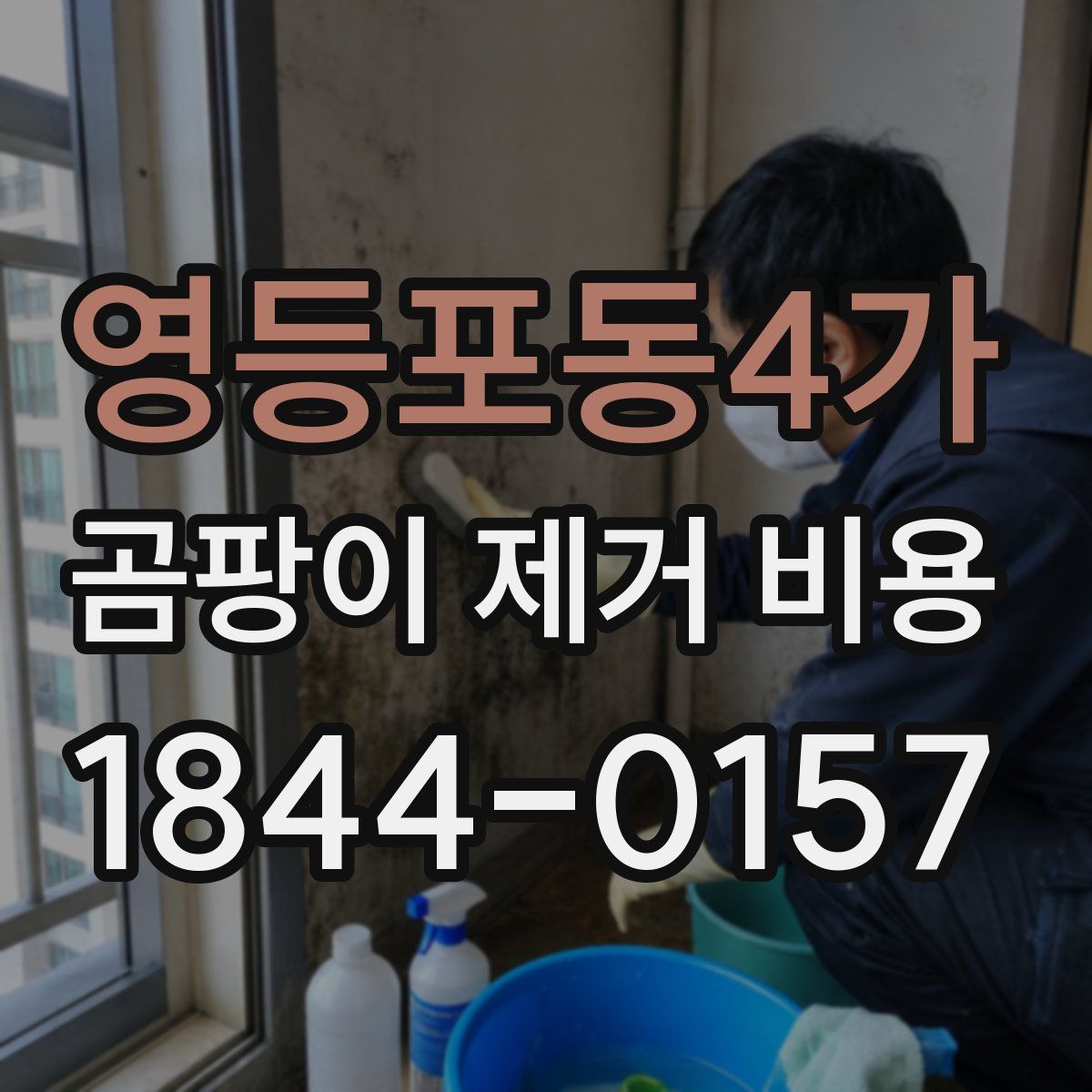 영등포동4가 곰팡이 제거 비용