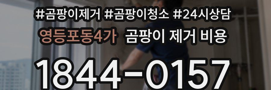 영등포동4가 곰팡이 제거 비용