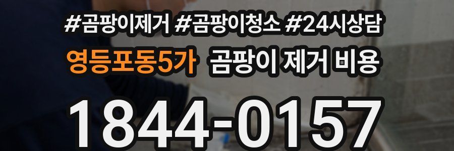 영등포동5가 곰팡이 제거 비용
