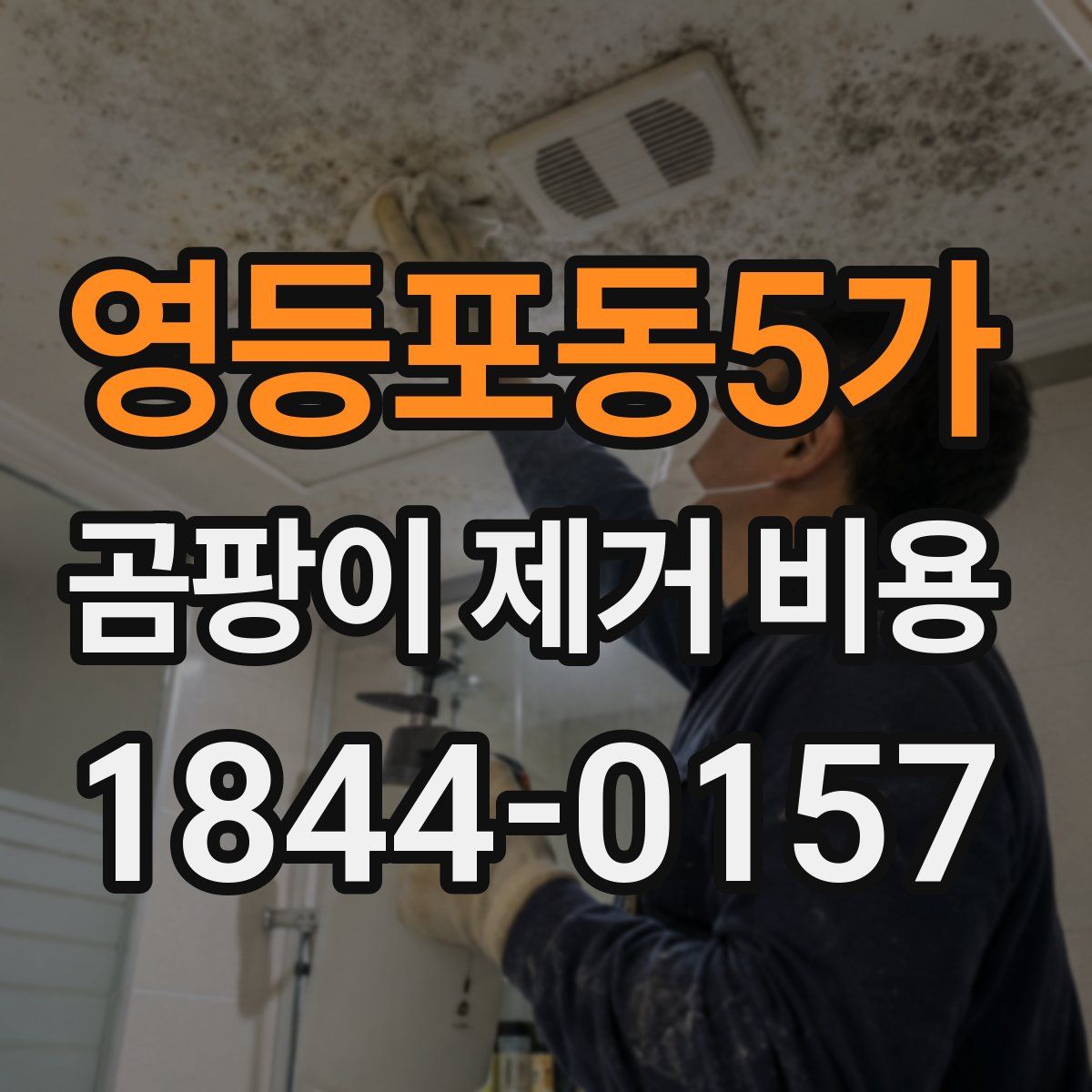 영등포동5가 곰팡이 제거 비용