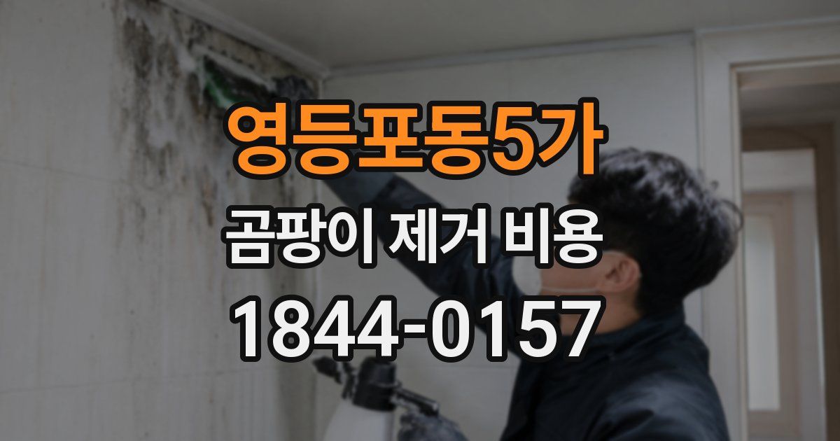 영등포동5가 곰팡이 제거 비용