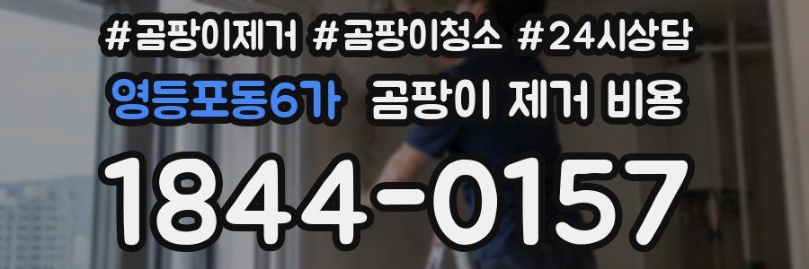 영등포동6가 곰팡이 제거 비용