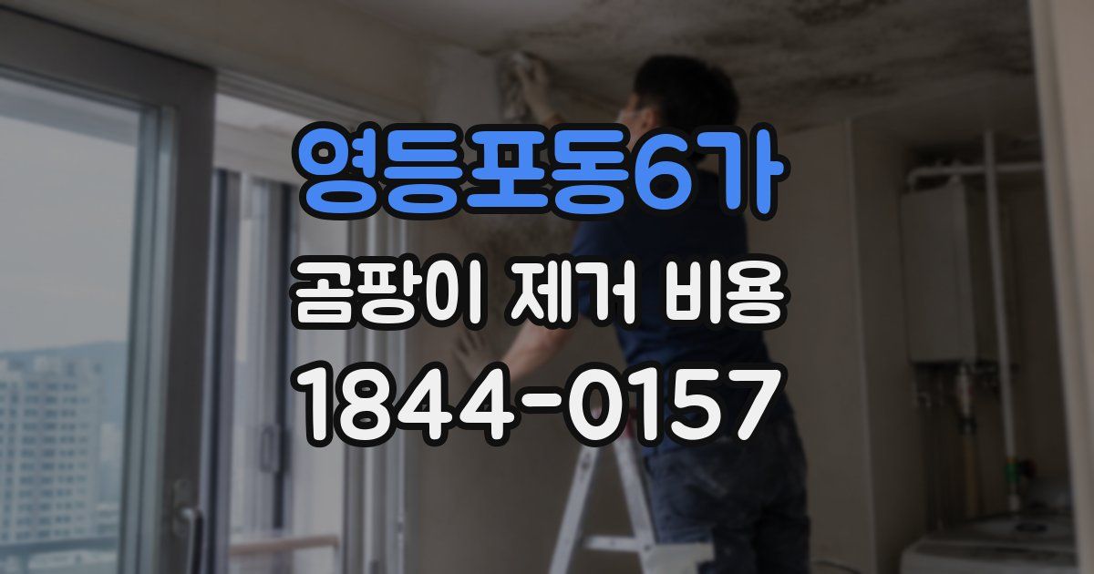 영등포동6가 곰팡이 제거 비용