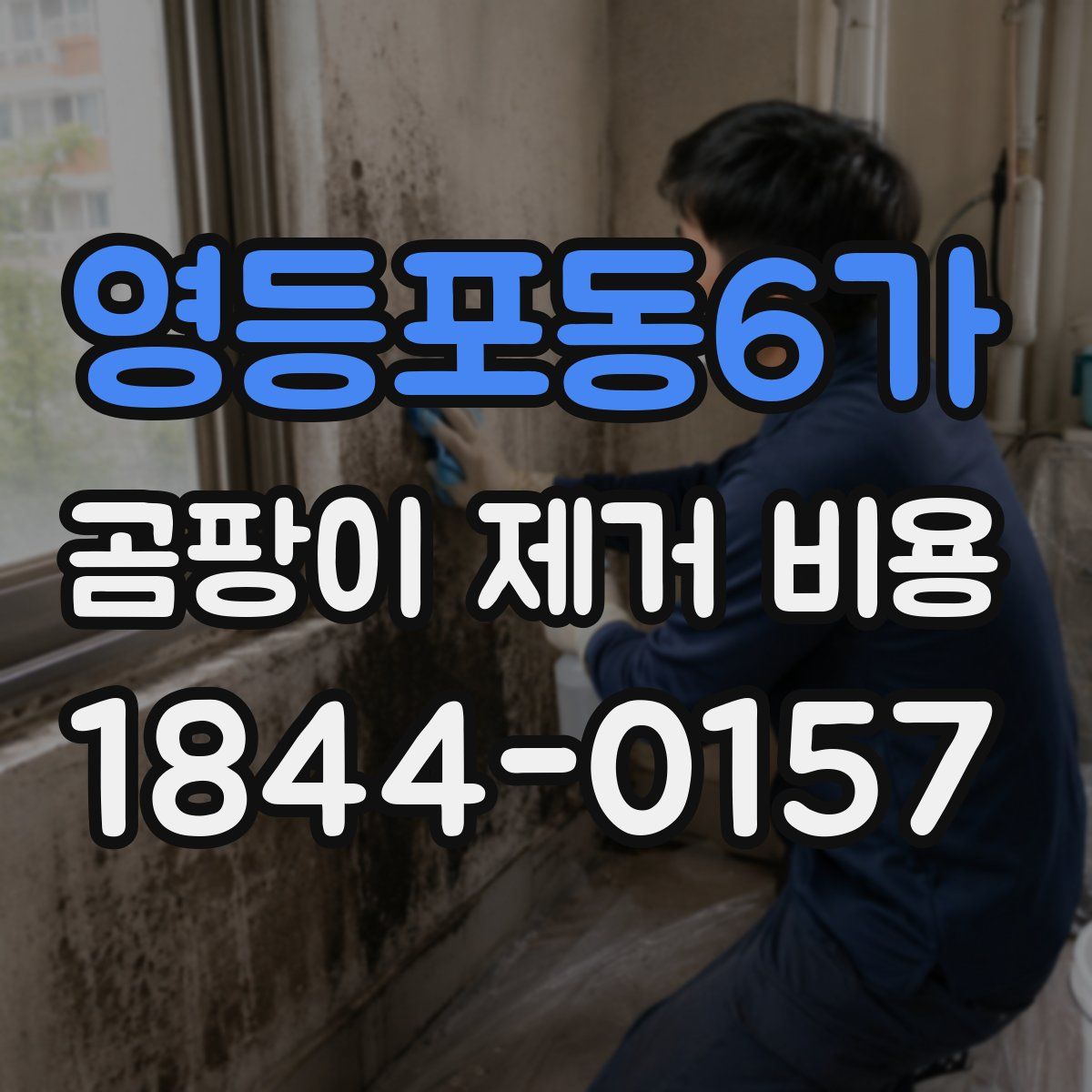 영등포동6가 곰팡이 제거 비용