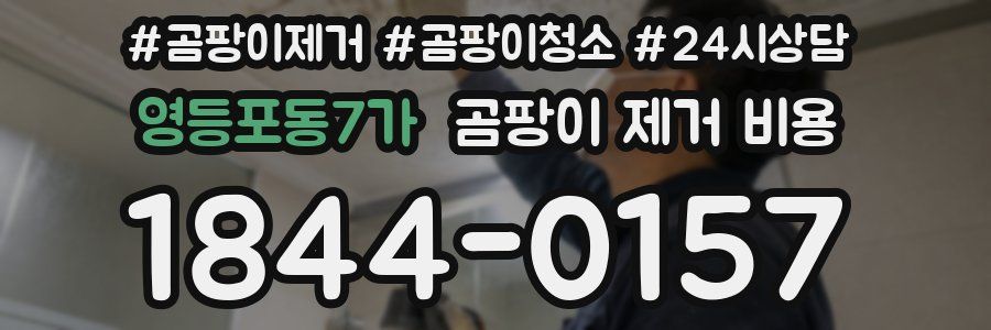 영등포동7가 곰팡이 제거 비용