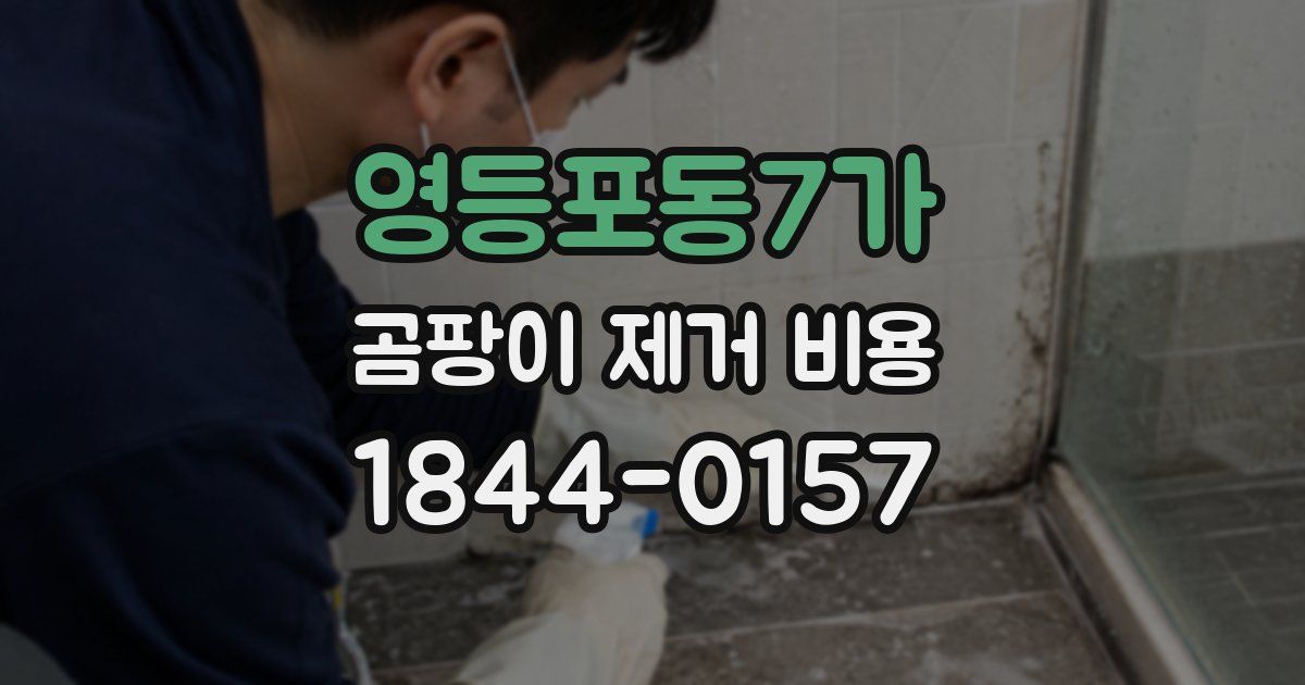 영등포동7가 곰팡이 제거 비용