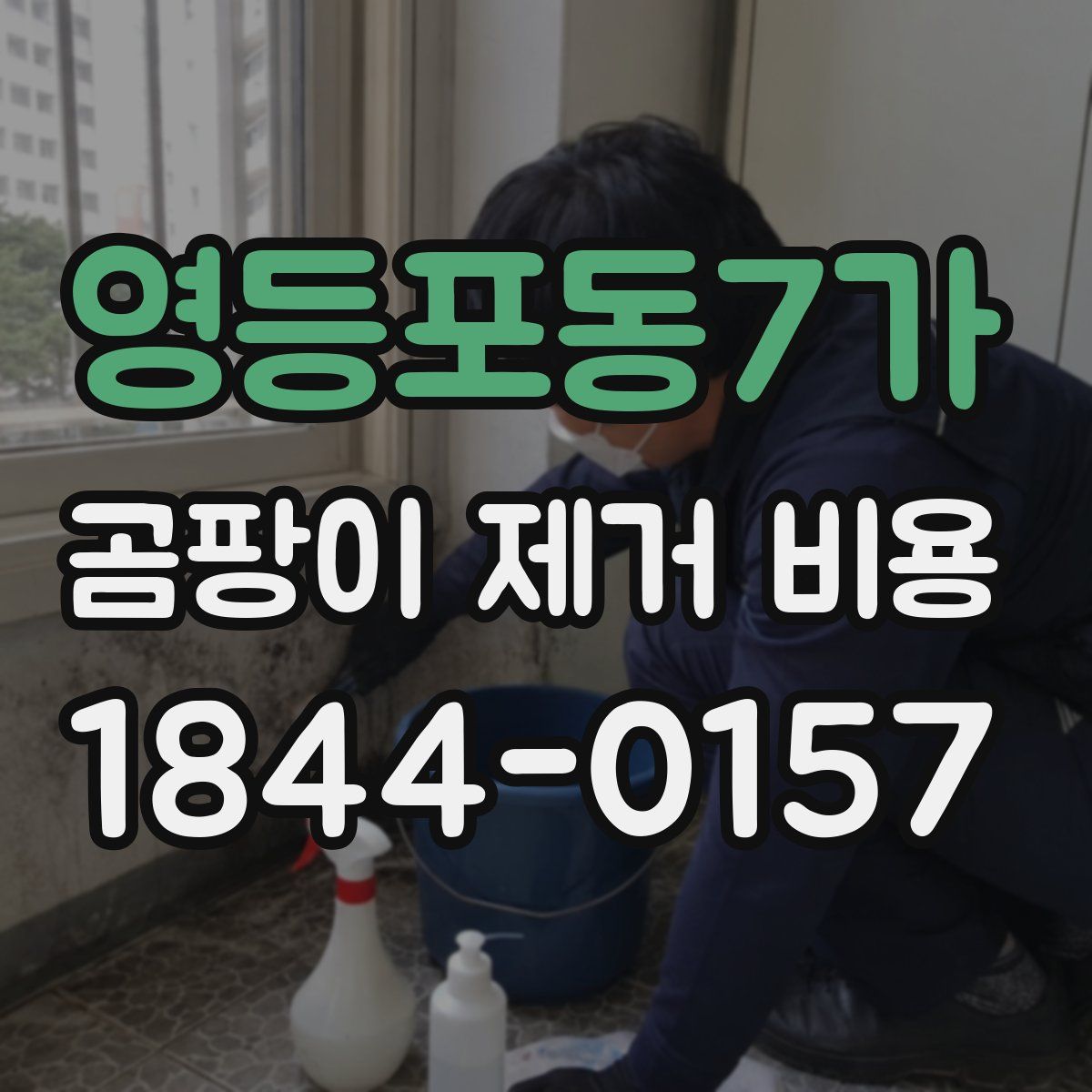 영등포동7가 곰팡이 제거 비용